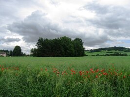 V Zárybniční Lhotě už jsme ale byli oba "durch"