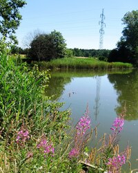 21.7.2013 Pokračujerme ze Zárybniční Lhoty