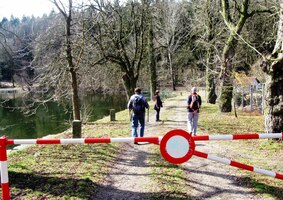 a vyrážíme do jarního lesa