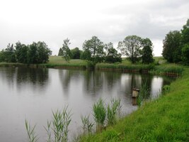 Ze začátku to vypadalo nadějně,