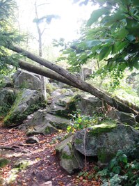 a zanedlouho byli zde -