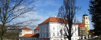 14.4.2013 Do Vlašimi jsme se vrátili až po roce