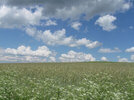 Byl nádherný den na začátku léta