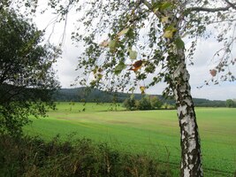 ke dvoudennímu přechodu Blanského lesa