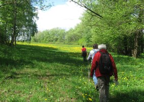 Poté jsme vešli do luk plných pampelišek,