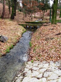 ála "Vzhůru po Rio Botičo"