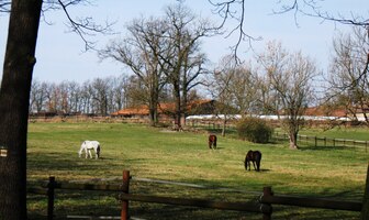pokračovalo cestou kolem koňských farem
