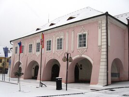 25.1. Mrazivé ráno v Týně/Vltavou