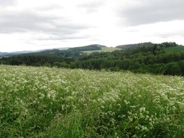 21.6.2015 Vyrážíme do kopců ve směru Lipno