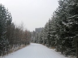 K polednímu se trochu oteplilo,