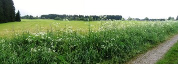 ale pak následovala cesta necesta