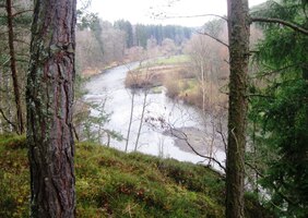 a odkládáme své potřeby na později