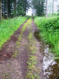 22.6.2015 I v poslední den celé akce prší