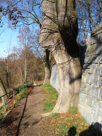 nad hlubokým údolím