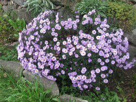 Zvolili jsme horskou trasu