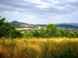 V podvečer je všechno žluté až do Goghova