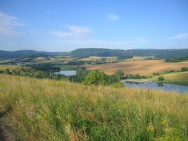 To louky před Hrušovem se zbarvily do zlatova