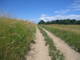 Cesta do Silice jako nit