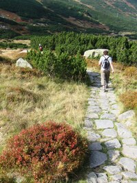 Čas je nám ale v patách