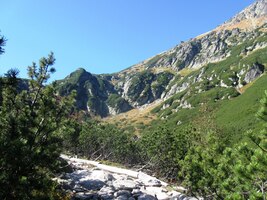 Výše se ale mění v typický "chodník"