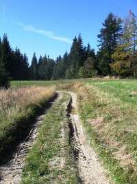 Brzy se k trati připojí další úsek