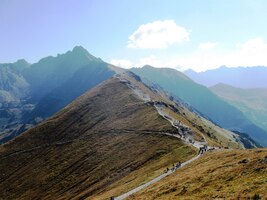 a je odsud hezký pohled na hřeben