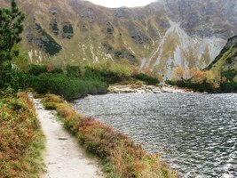 Cestička k jezírku známě se vine,