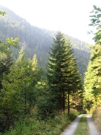 pod vrchem Umrla (brrr)