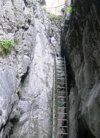 Místy tu bylo dost krkolomné lezení,