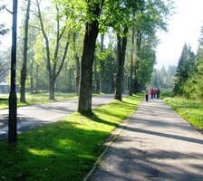 Stínem aleje stoupáme do Kužnice