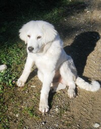 i s tímto kamarádem, který je z toho nesvůj