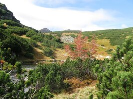 Konec rýmování, jdeme dál a výše!