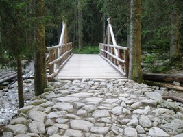 Zpočátku je cesta upravená