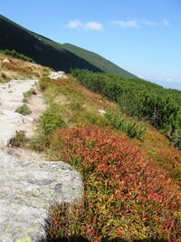 Odbočujeme zde po úzké cestě