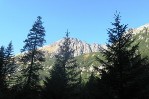 a vychází z temnot do světla