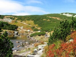 na téma Podzimní malování světa