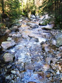 Vyrážíme na poslední velkou túru dolinou Bialego potoku