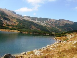 k Lietvorovému plesu