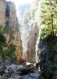 pardon, tiesňavy! Prosiecké.