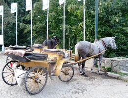 a dolů do Kužnice na parkoviště