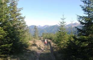 Cesta dolů je příjemná