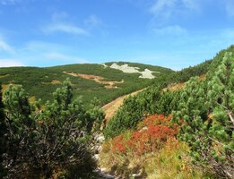 Užijte si s námi té přírodní show