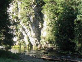 Mírně stoupáme údolím potoka