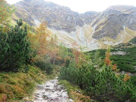 a vyrazili vpřed do Smutné dioliny