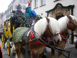 Kočáry patří k jejich standarním atrakcím