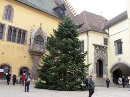 V této budově na náměstí Rathauspaltz