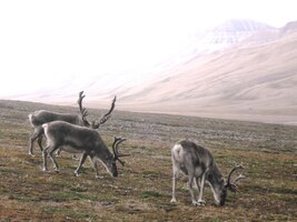 No tohle! Oni se nás vůbec nebojí!