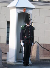 hlídaný bdělou gardou