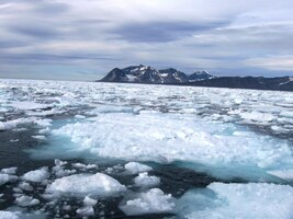 Jsou jich tu celé bariéry