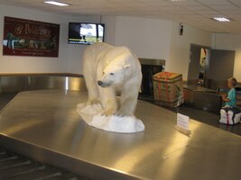 a na letišti nás vítá jejich král